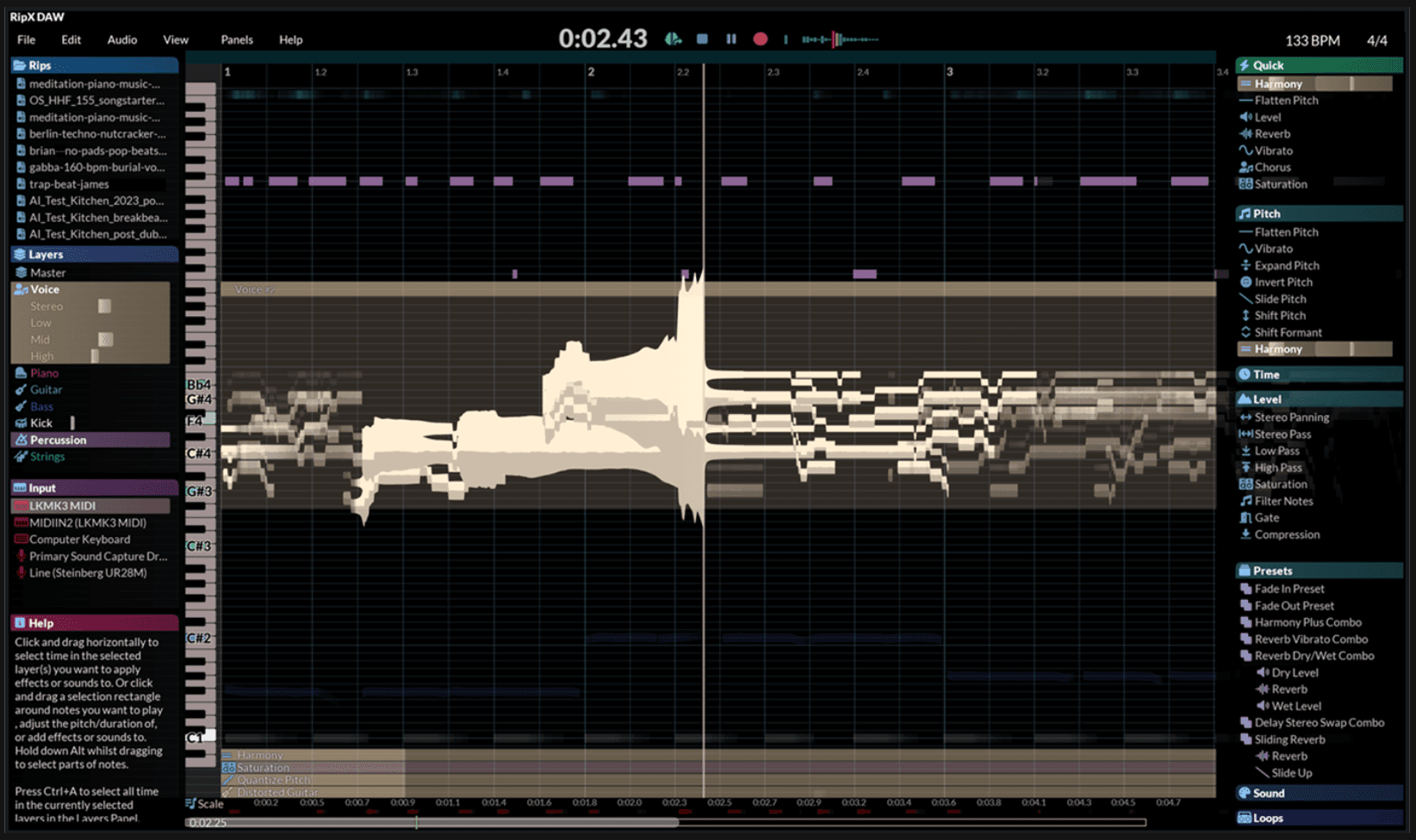 RipX DAW interface
